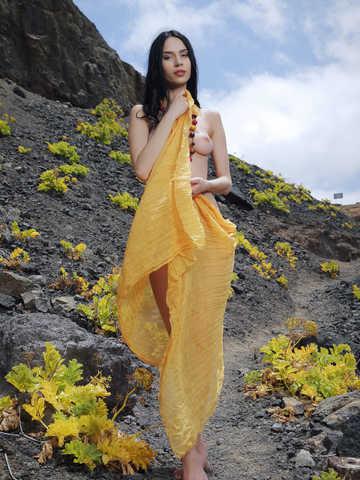 Dita V picture 61.2