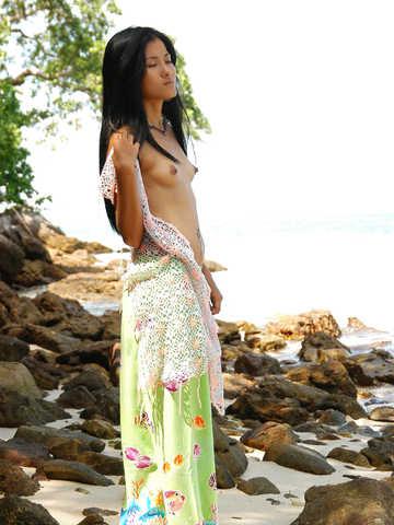 Mey picture 1.3